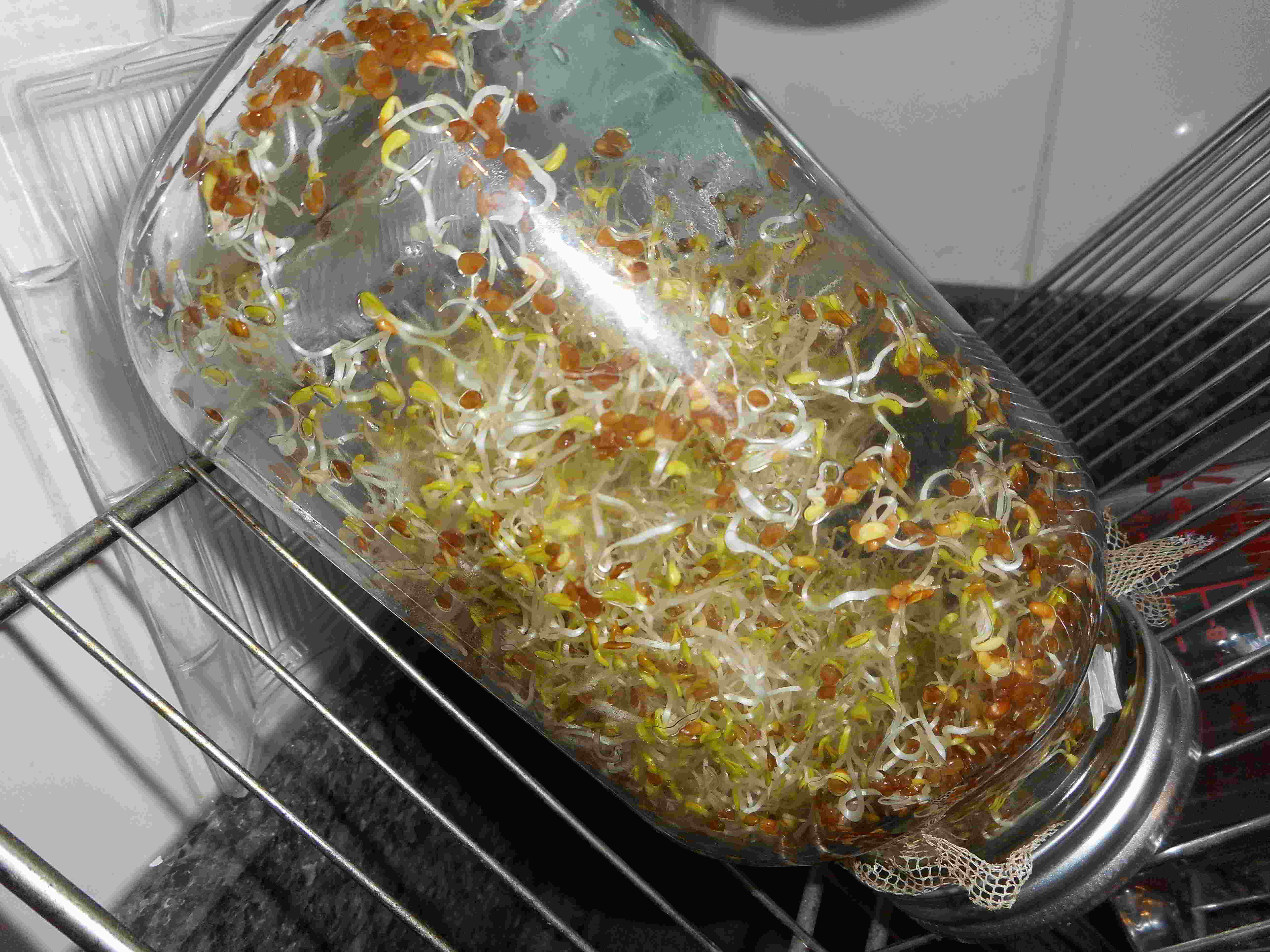 Carole Aversa, Naturopathe N.D.