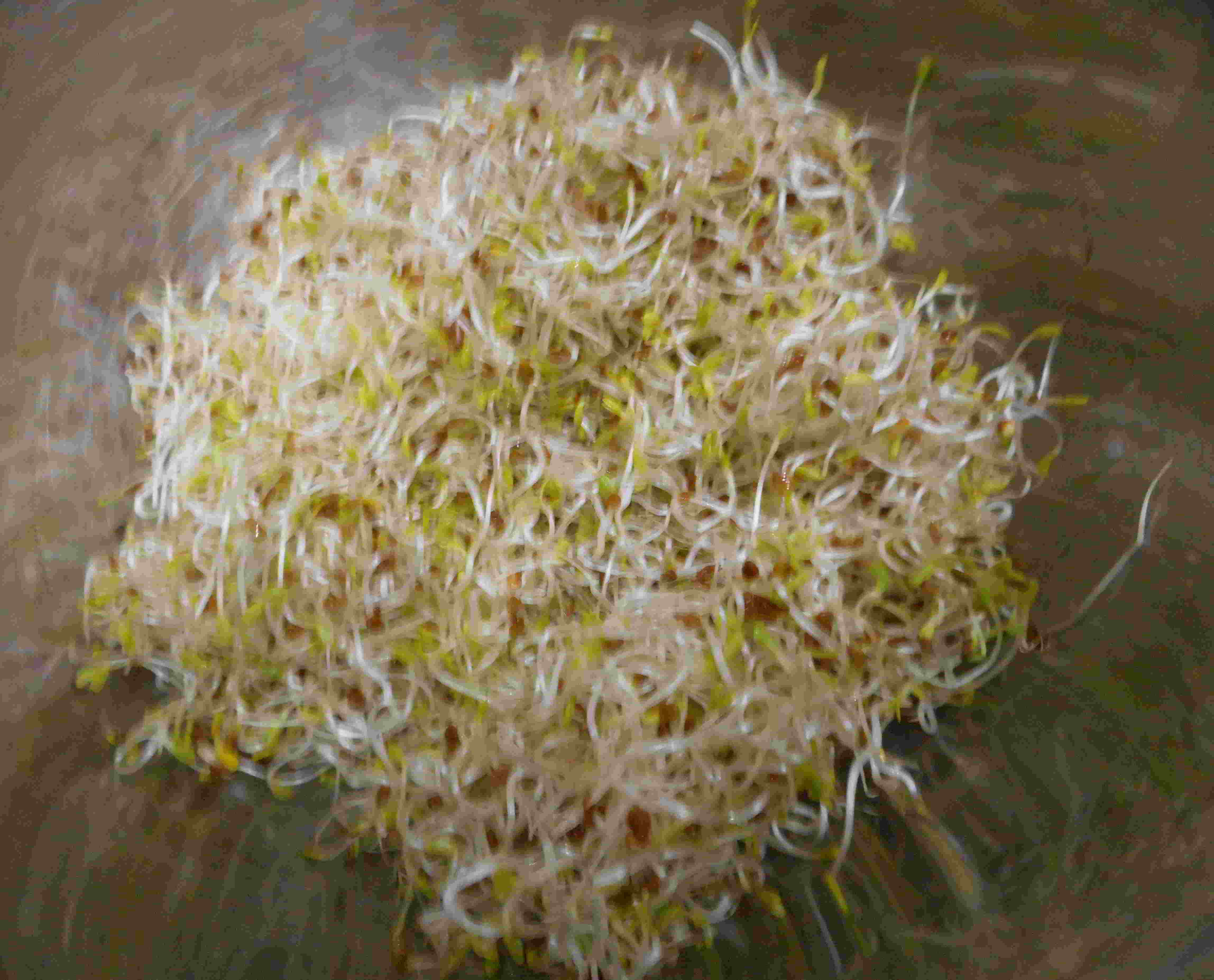 Carole Aversa, Naturopathe N.D.