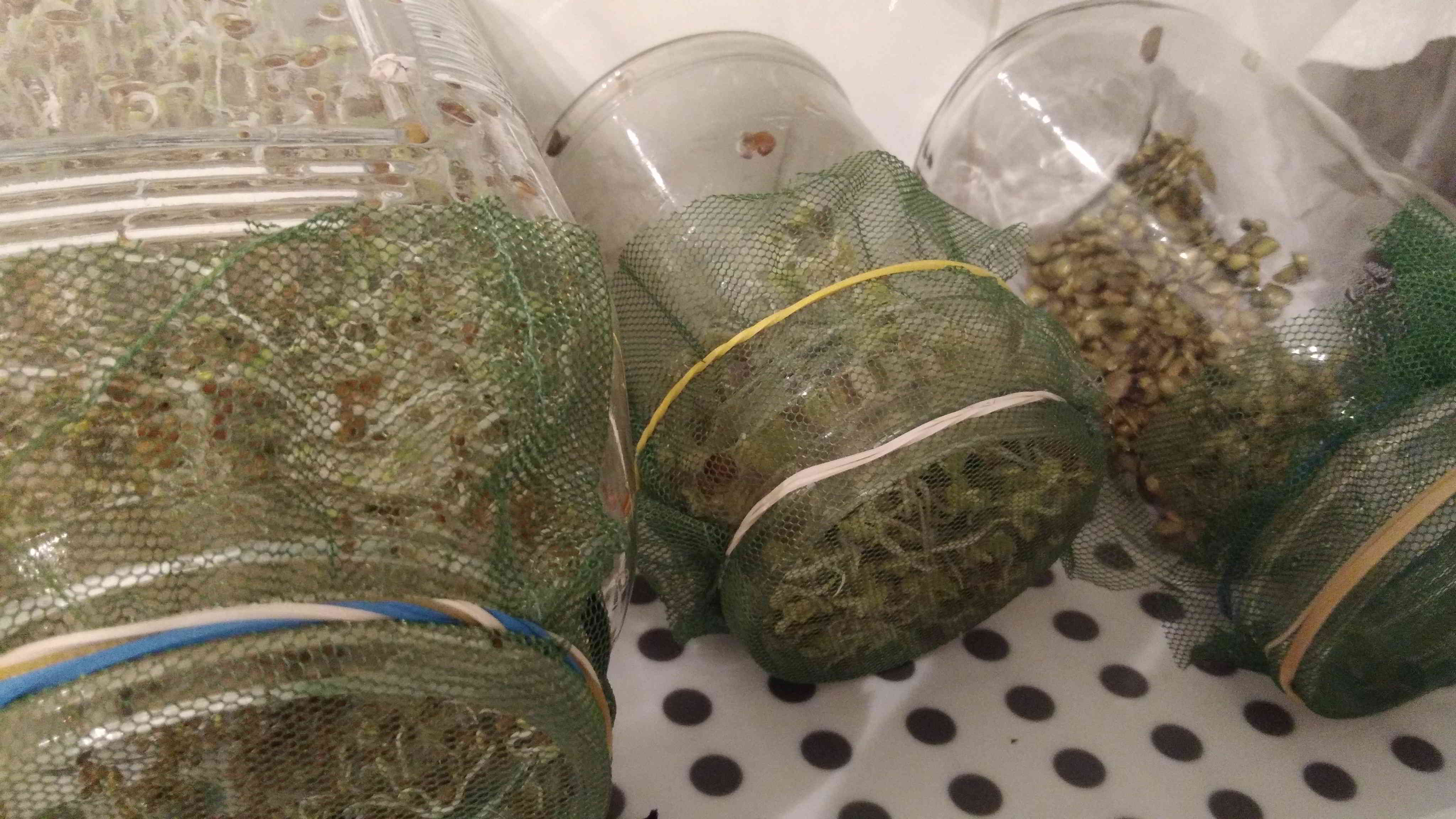 Carole Aversa, Naturopathe N.D.