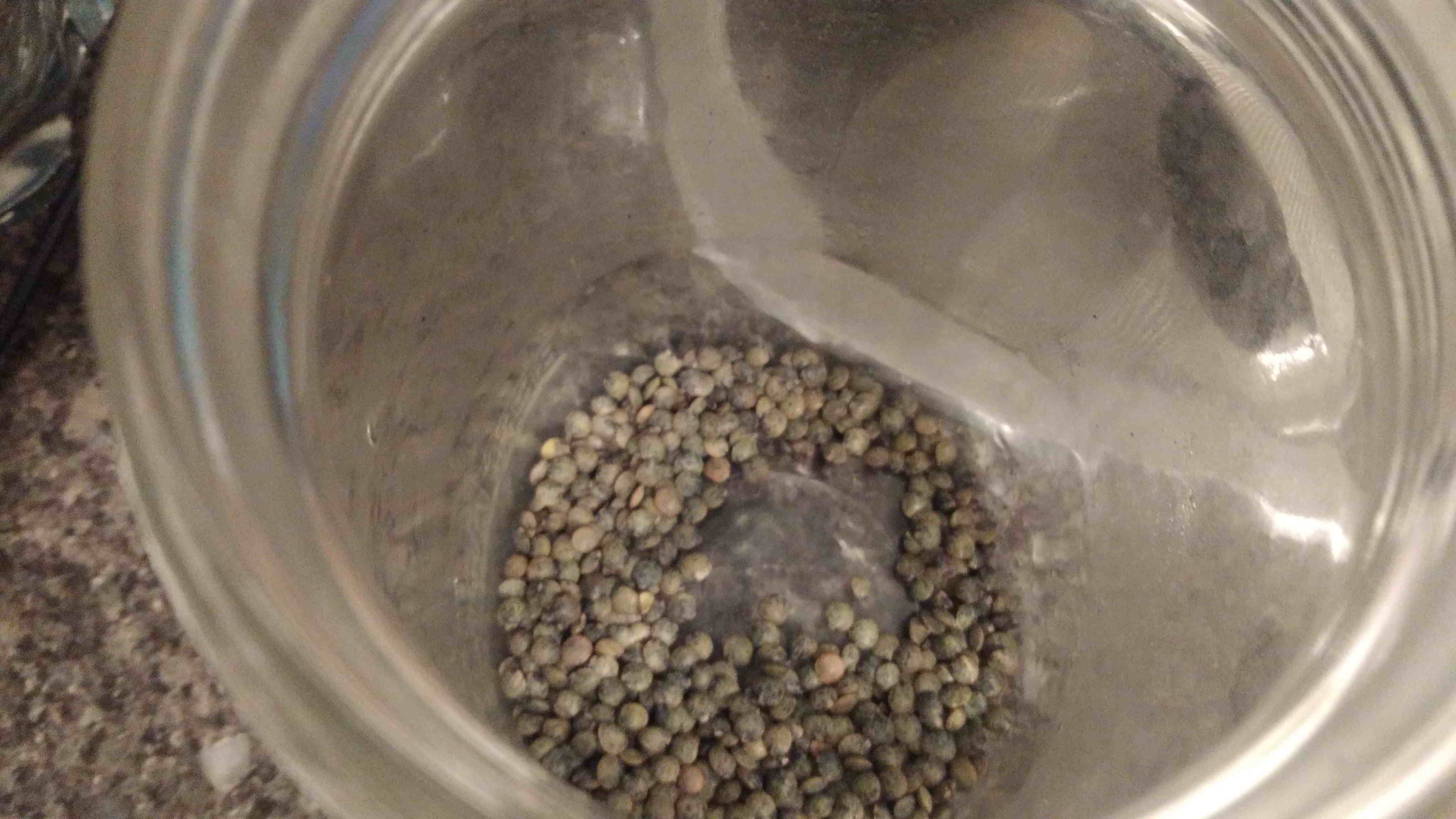 Exemple : lentilles vertes