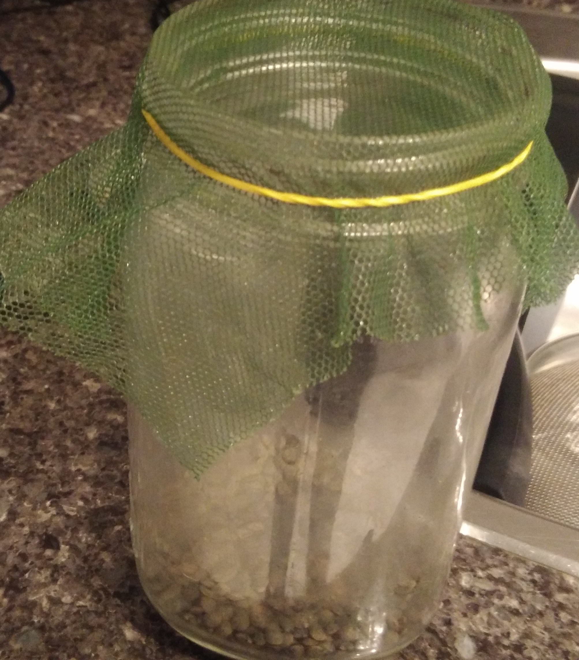 Bocal avec élastique