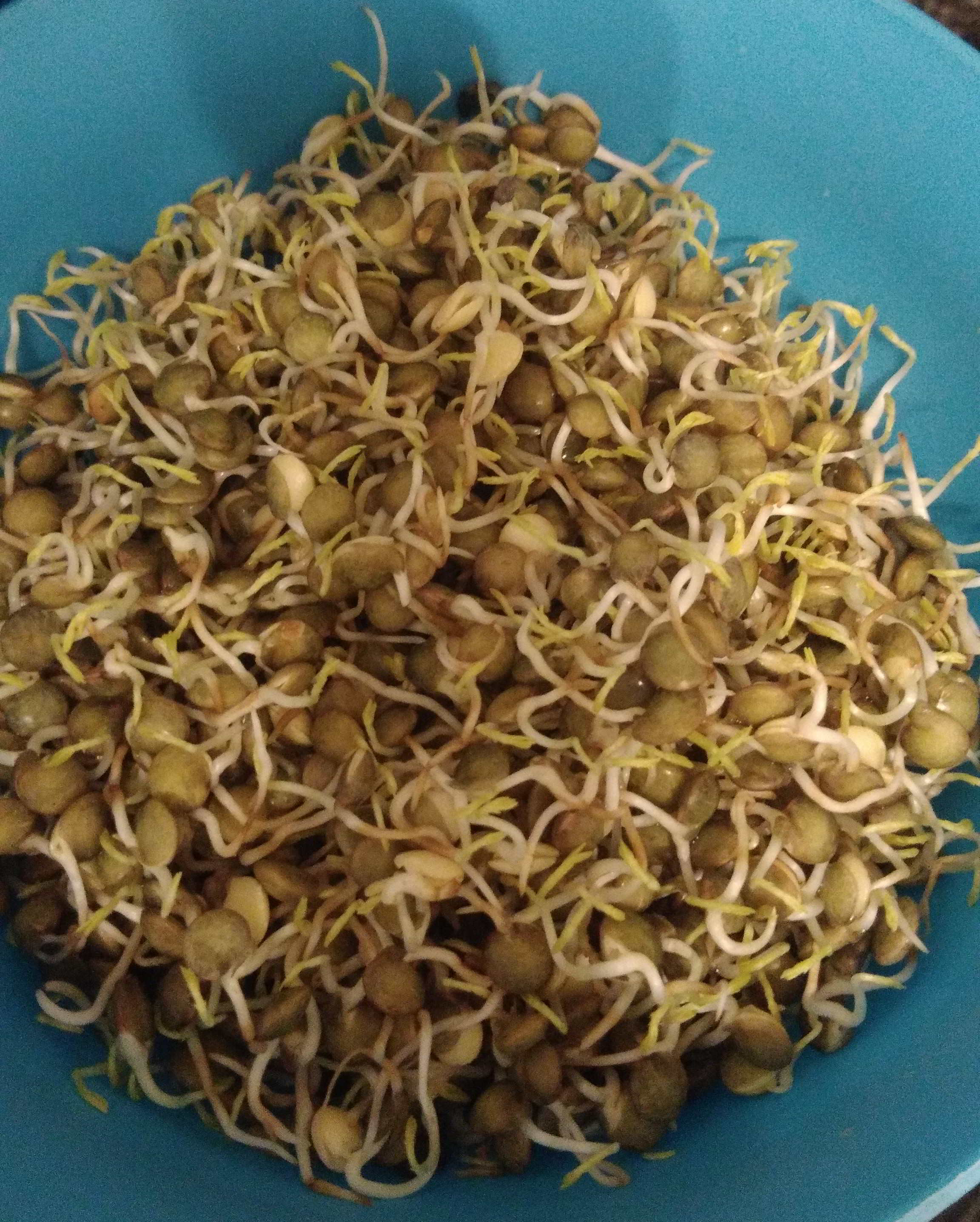 Carole Aversa, Naturopathe N.D.