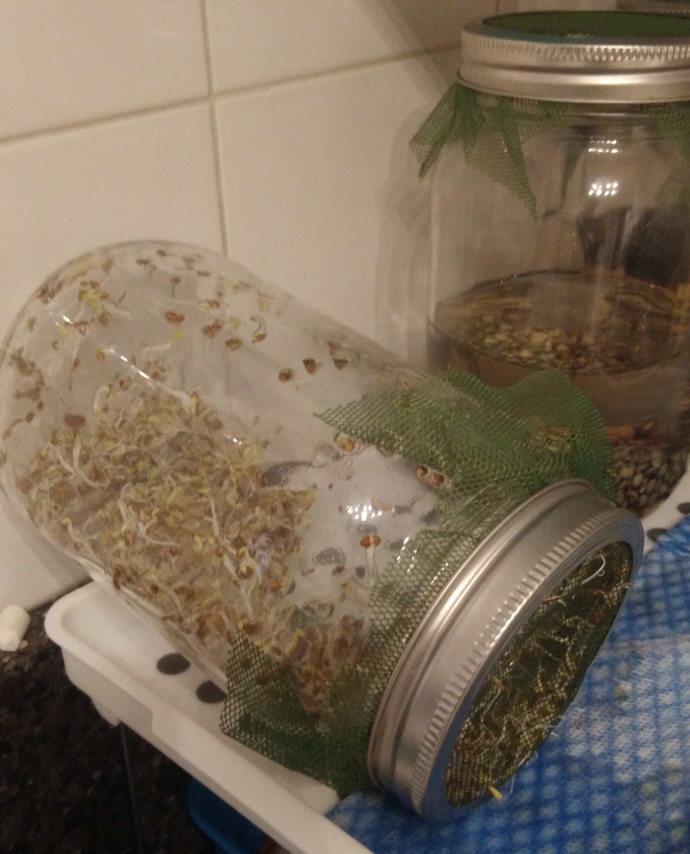 Carole Aversa, Naturopathe N.D.