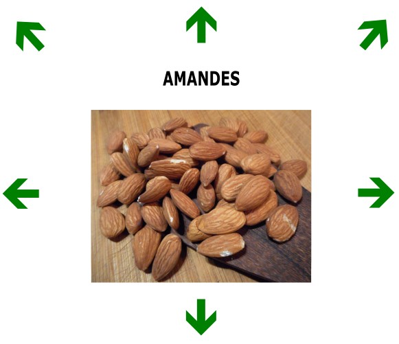 AMANDES