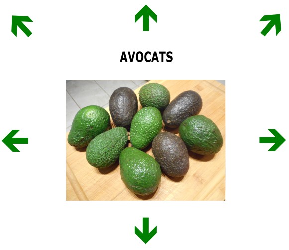 AVOCATS