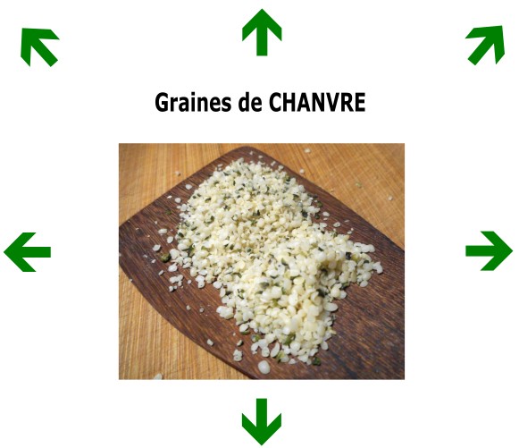 Graines de CHANVRE
