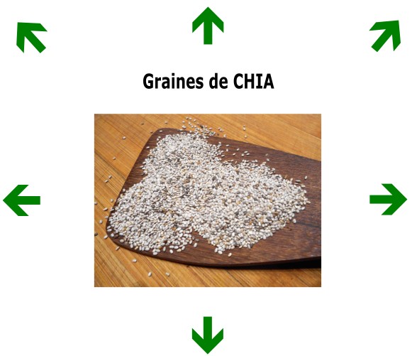 Graines de CHIA