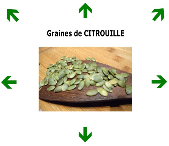 Graines de CITROUILLE