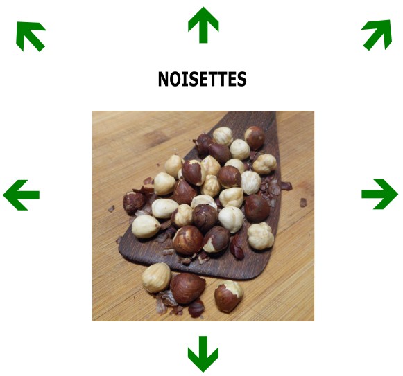 NOISETTES