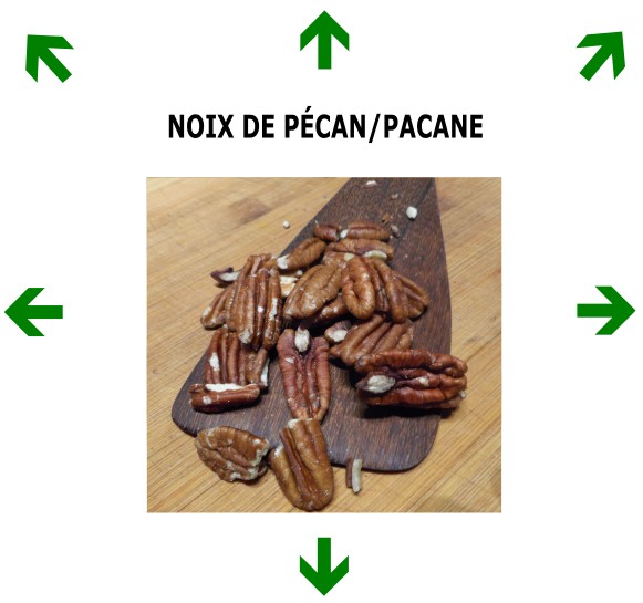 NOIX DE PACANE