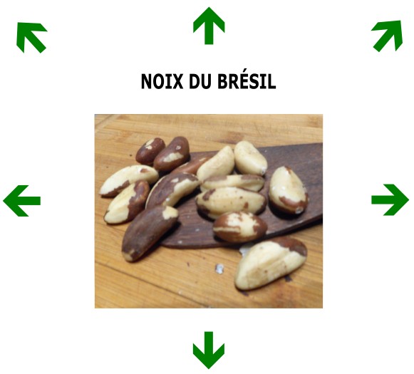 NOIX DU BRÉSIL