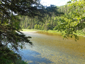 Rivière
